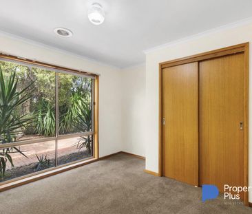 "Large and in charge" - Photo 5