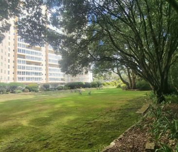 SEA VIEWS at Albany Manor Rd - Photo 3