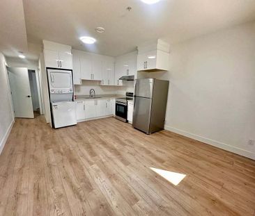 13185 236B Street, Maple Ridge (Ground Level Basement A ) - Photo 3