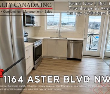 (PN 0053) Modern Living in the Heart of Aster - Brand New 2 Bed + D... - Photo 1