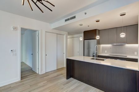 Condo for rent, Montréal (Ville-Marie) - Photo 4