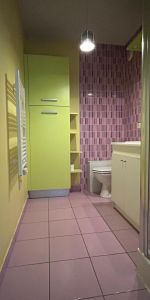 Location Appartement 1 pièce 27m² GRENOBLE 38000 - Photo 3