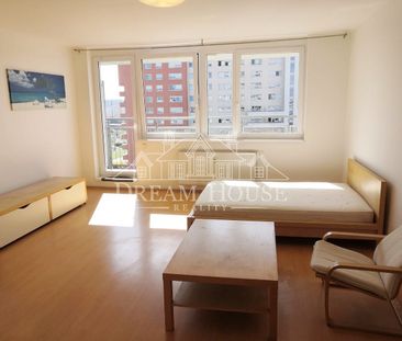Pronájem bytu 1+kk 45 m² - Fotografie 2