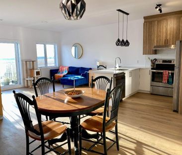 Superbe 5 1/2 adossé à un champ 5 mins des services St-Hyacinthe - ... - Photo 3