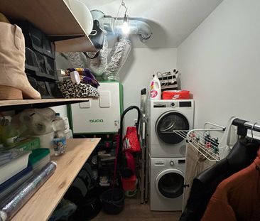 Pampuskade - Photo 4