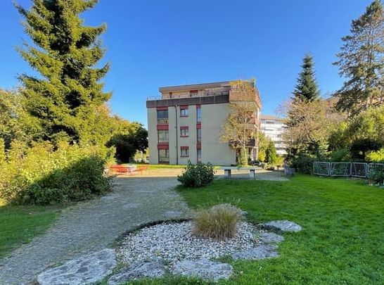 2.5 Zimmer, 1. Stock - Photo 1