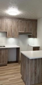 Beau grand 5 1/2 entièrement rénové - Photo 4