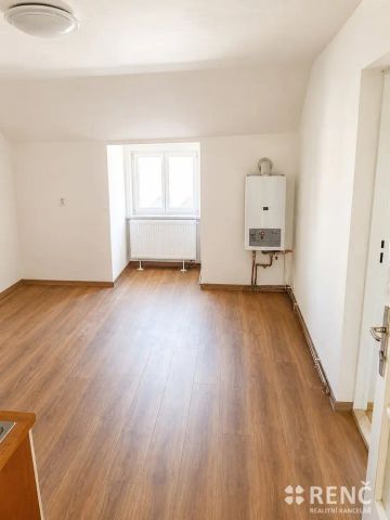 Pronájem udržovaného bytu 2+1 v bezprostřední blízkosti centra města na ulici Cihlářská - Photo 5