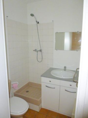 Location Appartement 1 pièce 16m² TOURNEFEUILLE 31170 - Photo 3