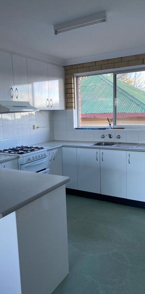 Fresh Unit - Photo 1