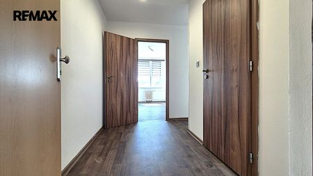 Pronájem bytu 2+kk v osobním vlastnictví 42 m², Louny - Fotografie 4