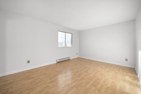 4740 Rue Anthime - Photo 5