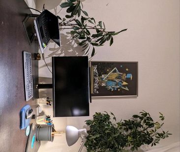 27.01-02.03.2026 | Sonnige 1-Zimmer Wohnung mit Balkon im Wedding - Foto 1