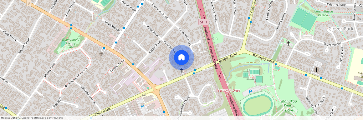 16 Grantham Road, Papatoetoe, Manukau City