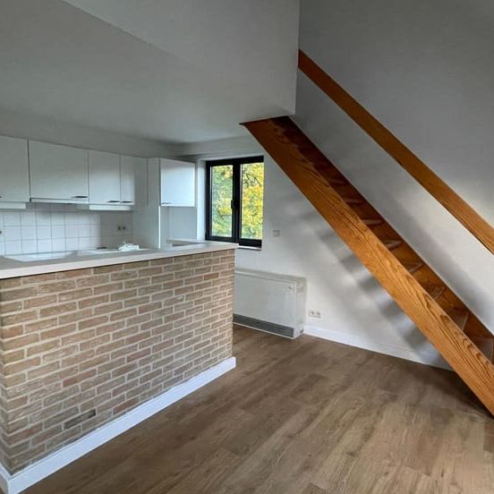 Duplex te huur - Photo 1