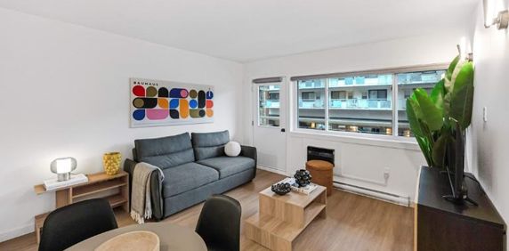 Appartement Une Chambre - Montréal Centre-Ville, Meublé - Photo 2