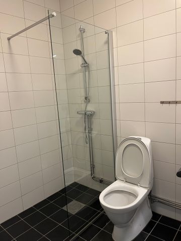 Ägirgatan, Västerås - Photo 5