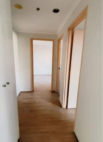 2 bed 1 bath - Photo 4