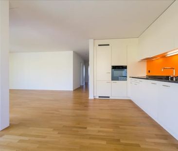 2.5 Zimmer, 58 m², EG - Foto 2