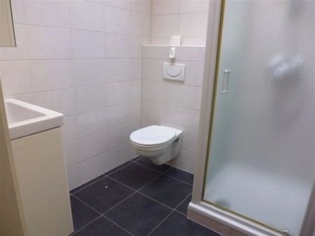 VERZORGDE KLEINE RIJWONING - Photo 5