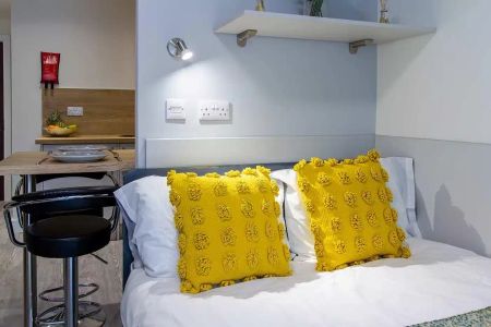 Dover Street Apartments - Standard Studio - Photo 5