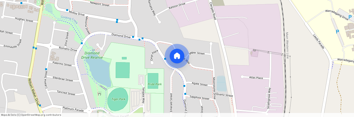 14 Turquoise Way, NSW 2800, Orange