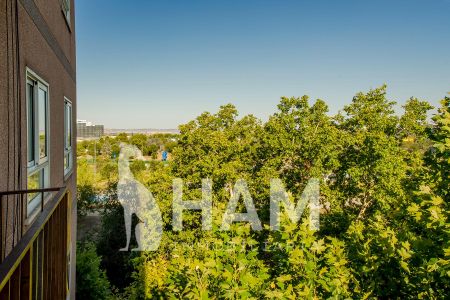Habitación - Madrid - Alameda de Osuna - 550€ MES - Ref. GN6484859 - Photo 3