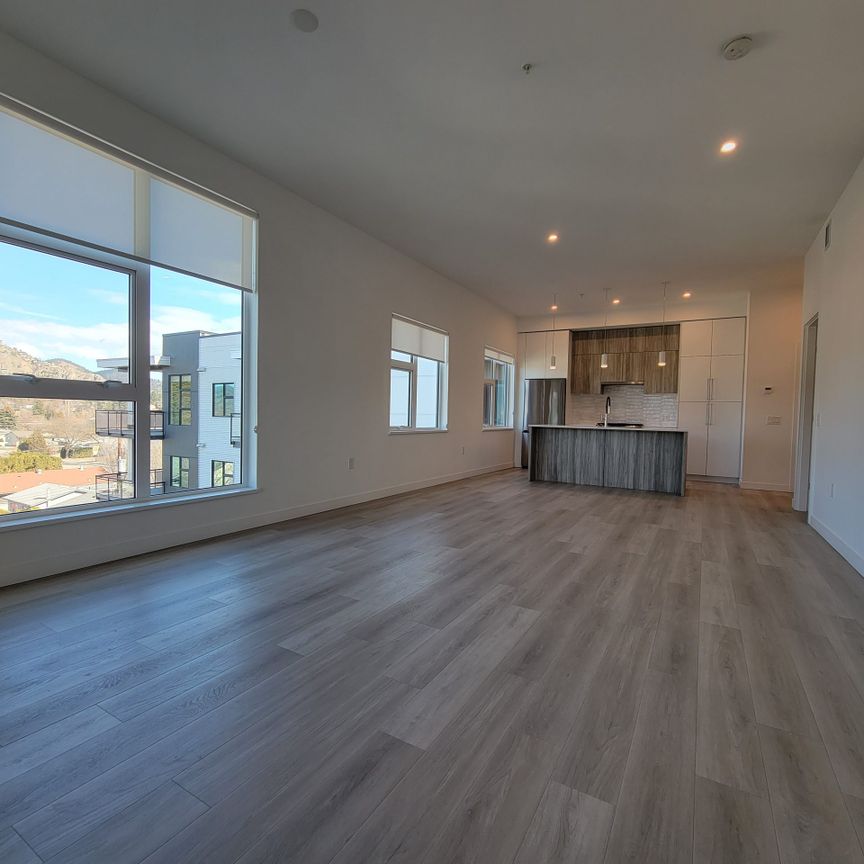 Downtown 2nd Floor Luxury 2 Bdrm * Pets - Photo 1