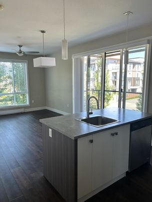 LINDY'S APTS - 209 - L209 - Photo 1