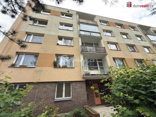 Pronájem bytu 5+1 a více 12 m² - Фото 1