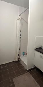 Location Appartement 1 pièce 20m² VILLEURBANNE 69100 - Photo 3
