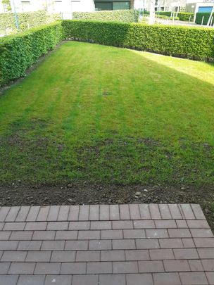 Gelijkvloers appartement te huur in Oudenaarde - Foto 1