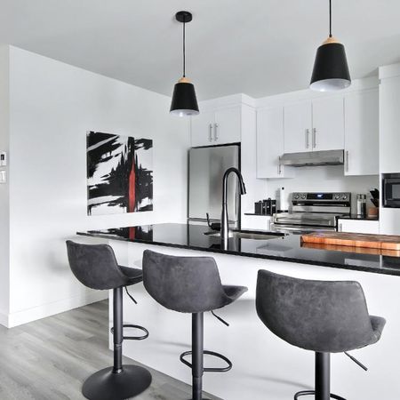 Superbe logement 4 1/2 + bureau à St-Nicolas, 2ème étage, climatisé, 2 STATIONNEMENTS EXTÉRIEURS INCLUS, LIBRE LE 1ier février 2026. - Photo 3