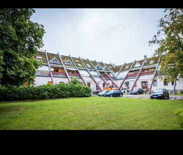 4-Zimmer-Erdgeschosswohnung zu vermieten - Photo 1