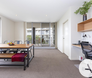 35/98 Corinna St, Phillip ACT 2606 - Apartment For Rent | Domain - Photo 1