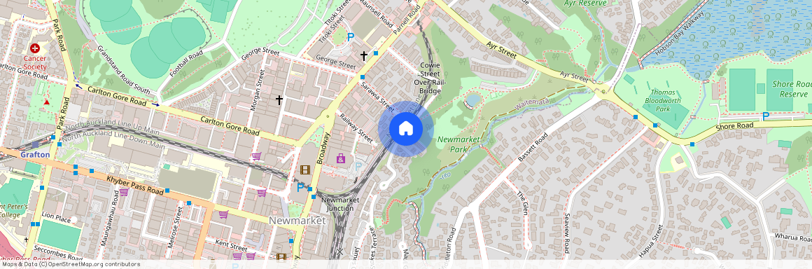 3a Laxon Terrace, Newmarket, Auckland City