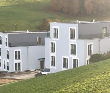 Moderne 5.5 Zimmer-Wohnung in Schmitten! - Photo 6