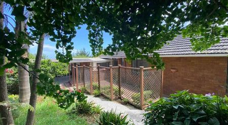 Rural Living Close To Pokeno and Motorway - Photo 4