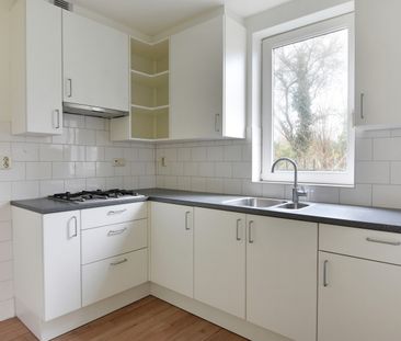 Te huur: Britsenburg 1 - Foto 1