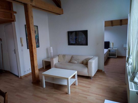 Location appartement 2 pièces 45 m² à Oyonnax (01100) - Photo 1