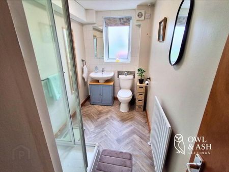 103c Drumbeg Drive, Lisburn, BT28 1QJ - Photo 5