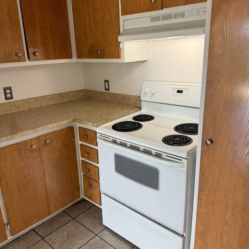 1 CH - 1 SDB - Côte Saint-Luc - $1,645 /mo - Photo 1