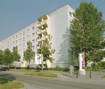 handwerkliches Geschick gesucht - Photo 1