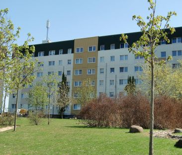 Großer Balkon zum Wohlfühlen - Photo 5