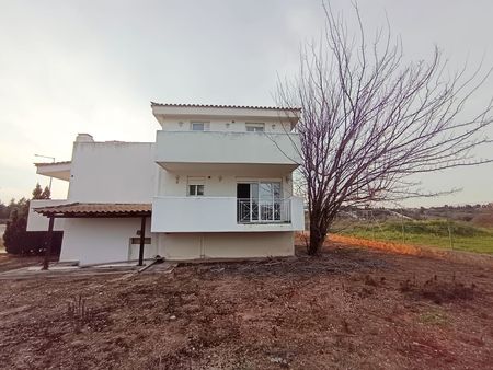 Μεζονέτα για ενοικίαση Ολυμπιακό Ιππικό Κέντρο (Μαρκόπουλο) - Φωτογραφία 2