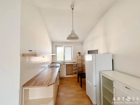 Pronájem prostorného a světlého bytu 2+1 (58 m - Photo 3