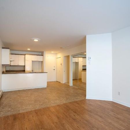 1 CH - 1 SDB - Saint-Charles-Borromée - $1,145 /mo - Photo 3