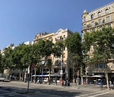 Passeig de Joan de Borbó, Barcelona, Catalonia 08003 - Photo 6