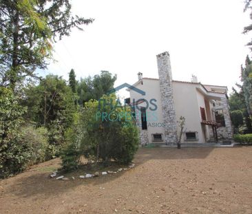 Μονοκατοικία για ενοικίαση Νέα Κηφισιά (Κηφισιά) - Photo 4