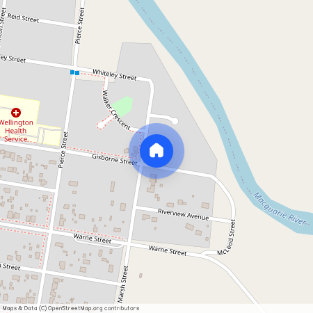 16 Marsh Street, NSW 2820, Wellington